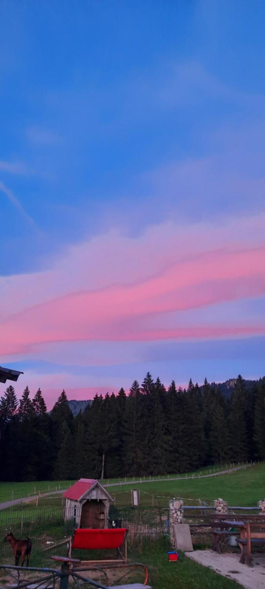 Jausenstation Neuschwand Villa Hittisau Kültér fotó