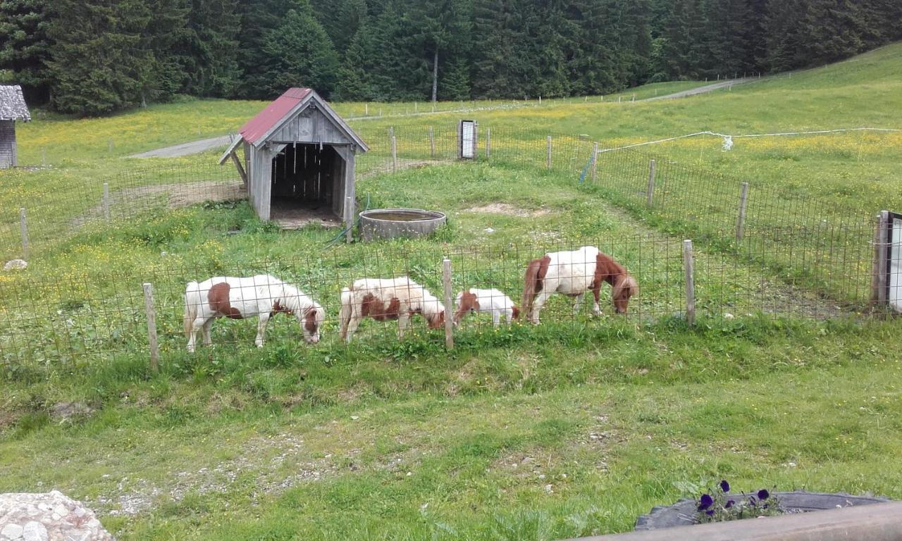 Jausenstation Neuschwand Villa Hittisau Kültér fotó