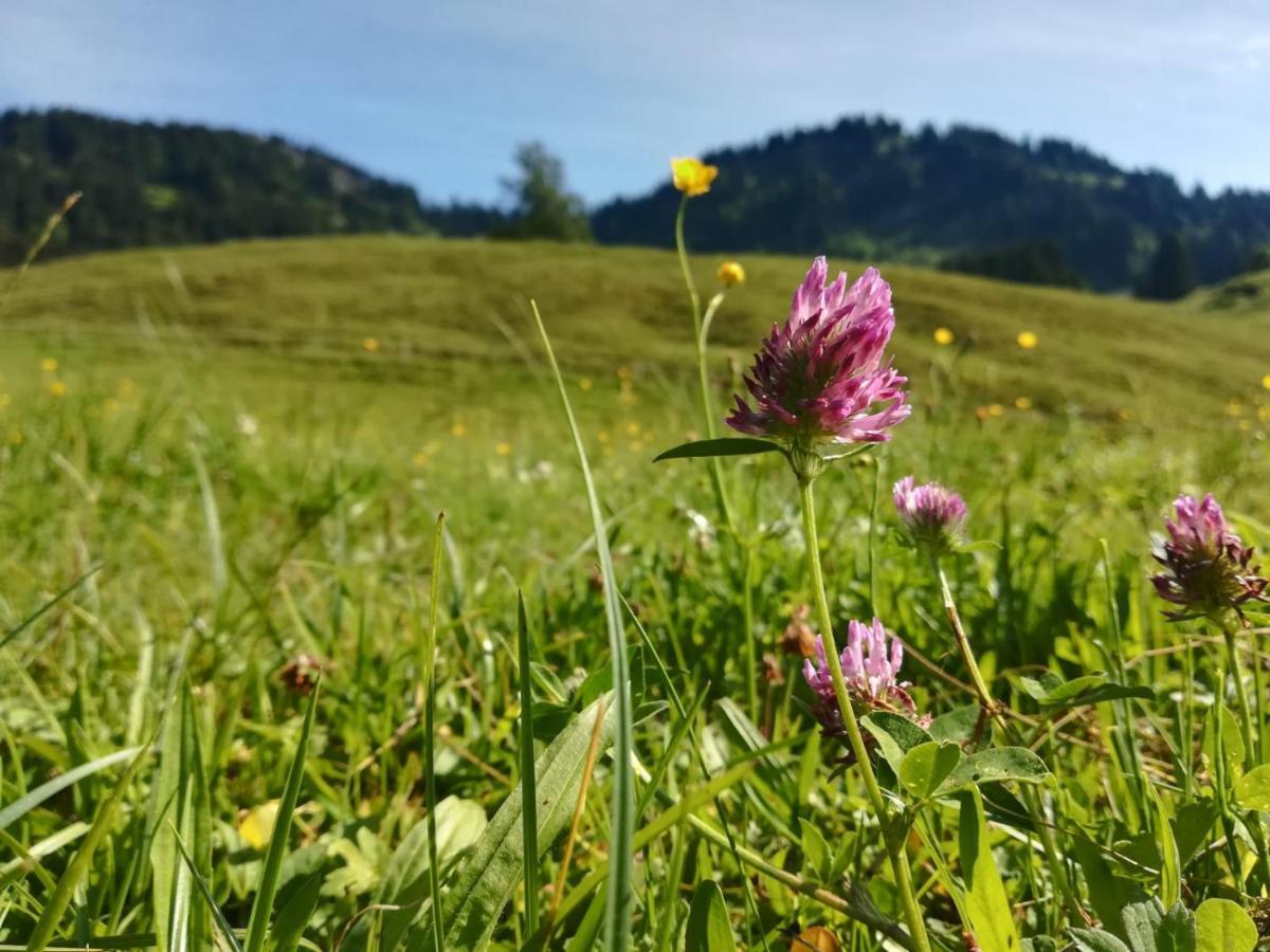 Jausenstation Neuschwand Villa Hittisau Kültér fotó